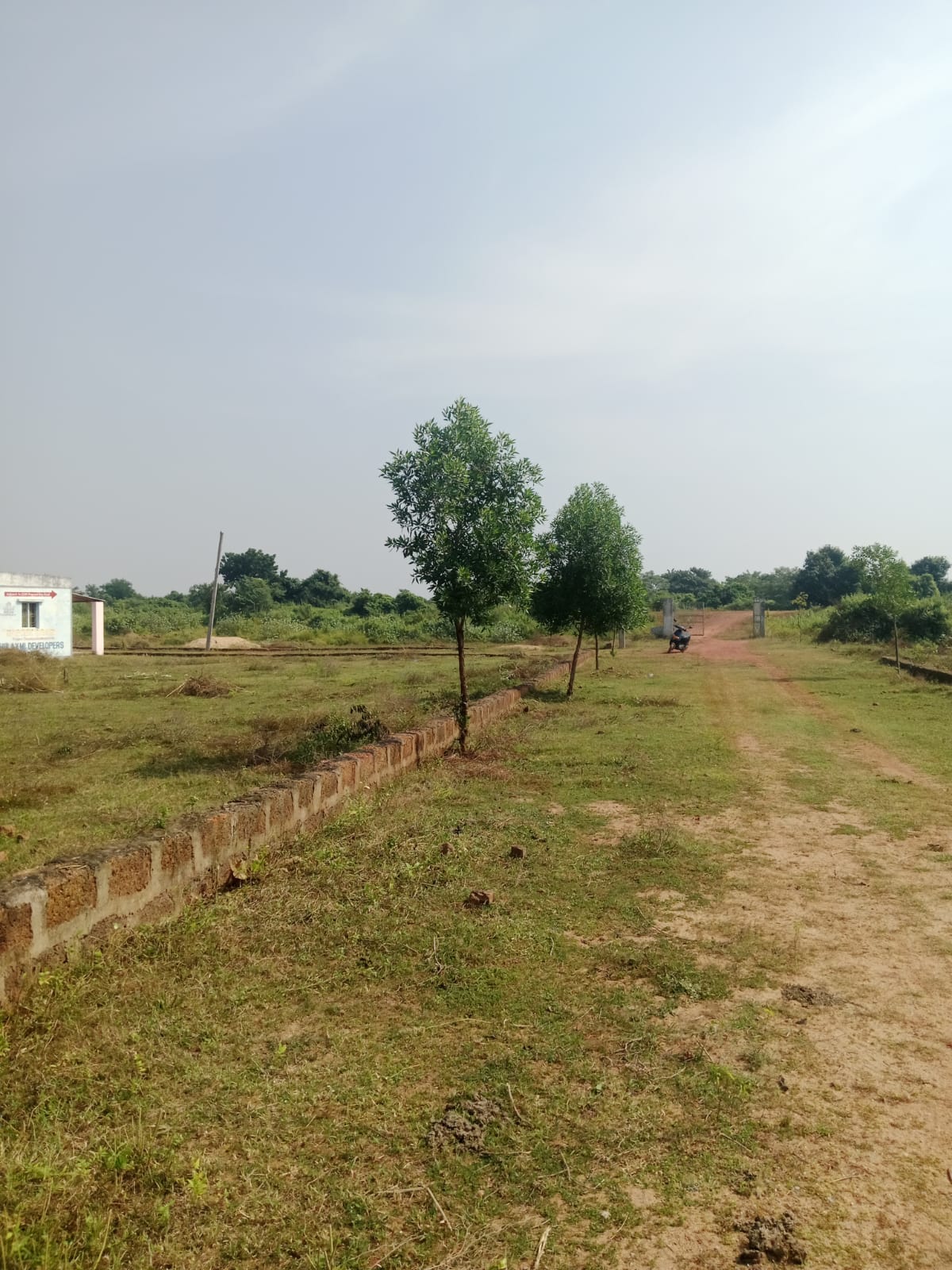 Internal red-earth pathway flanked by laterite kerbs and fresh plantation inside Mohan Dham