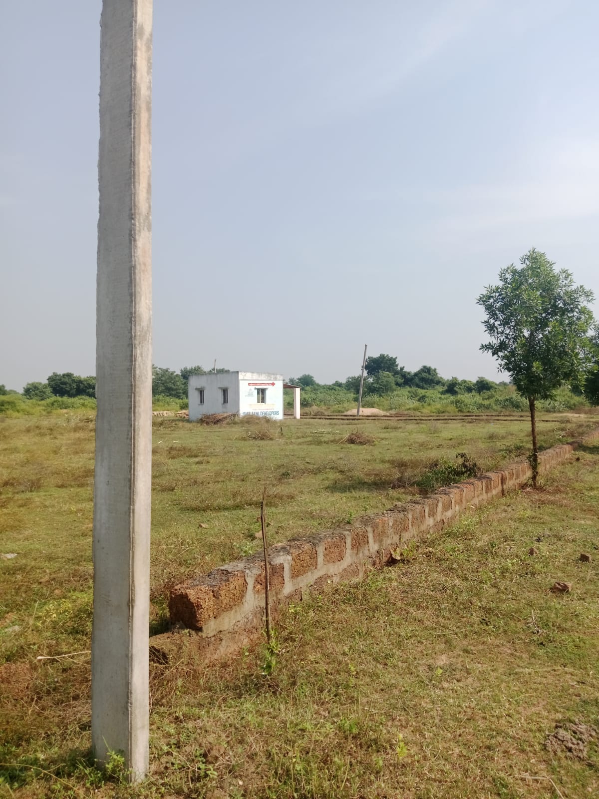 Mohan Dham plot boundary with concrete pole, laterite kerb and young sapling